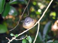 Albums/20060200-New Zealand 2006/20060201-Christchurch/33